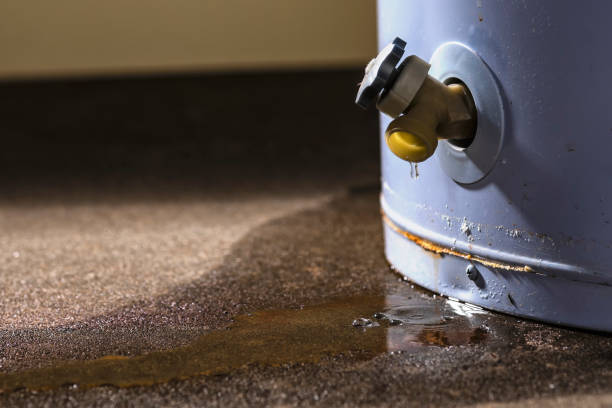 Best Flood damage cleanup  in Gustine, CA