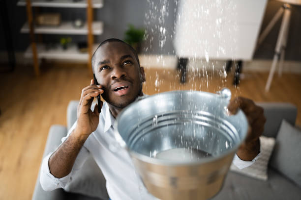 Best Flood restoration services  in Gustine, CA