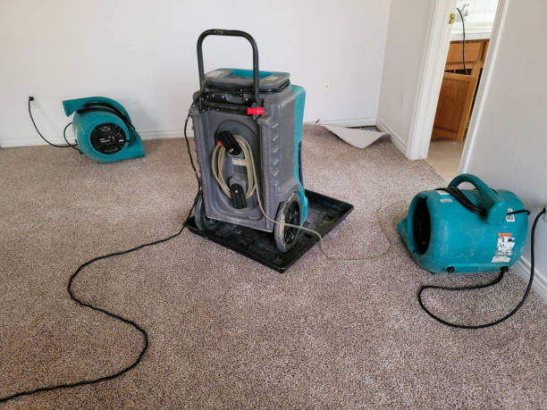 Best Basement water damage restoration  in Gustine, CA