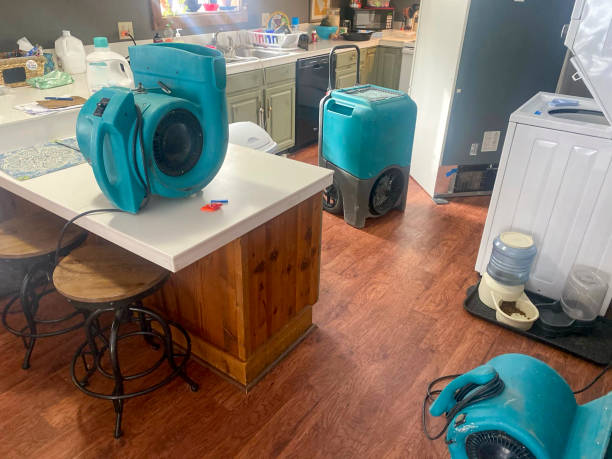 Best Water damage cleanup near me  in Gustine, CA