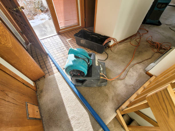 Best Ceiling water damage repair  in Gustine, CA