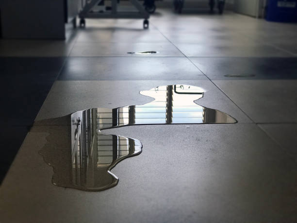 Best 24/7 water damage repair  in Gustine, CA