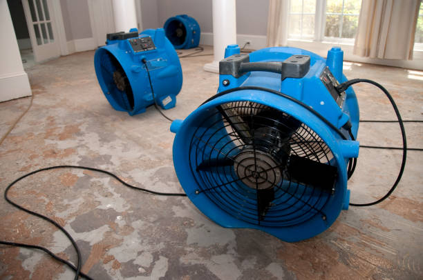  Gustine, CA Water damage restoration Pros