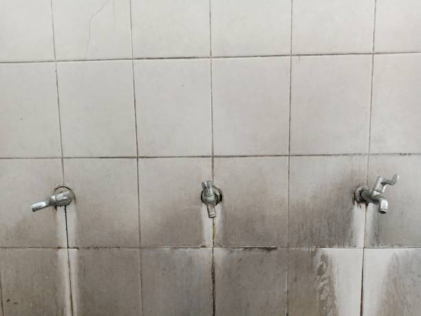 Best 24/7 water damage repair  in Gustine, CA