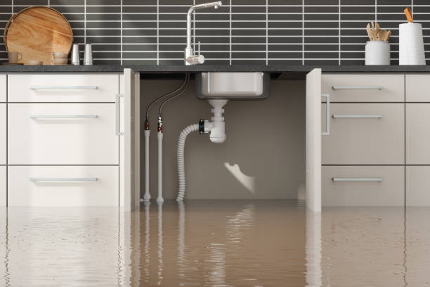 Best Flooded house restoration  in Gustine, CA